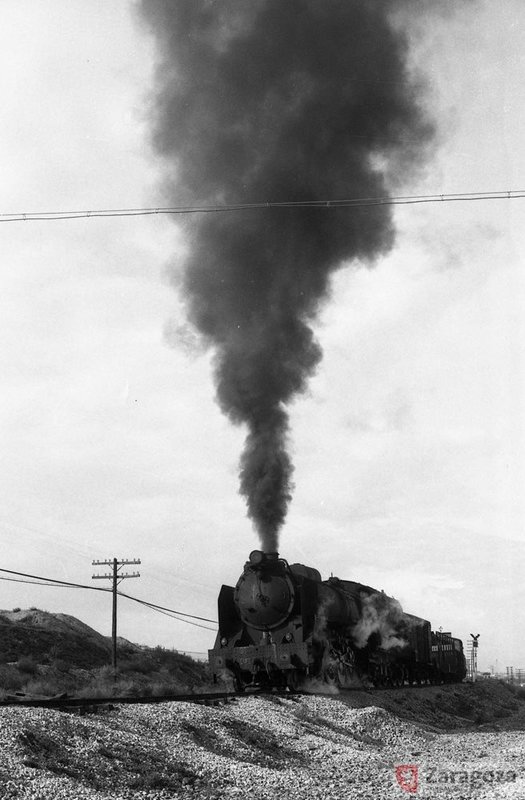190164.jgp.jpg