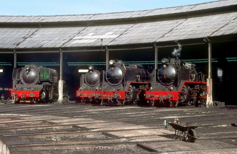 190194.jpg