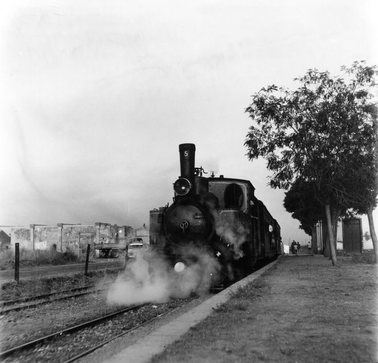 190194.jpg