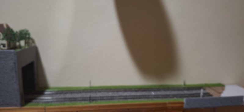 20250110_112411.jpg