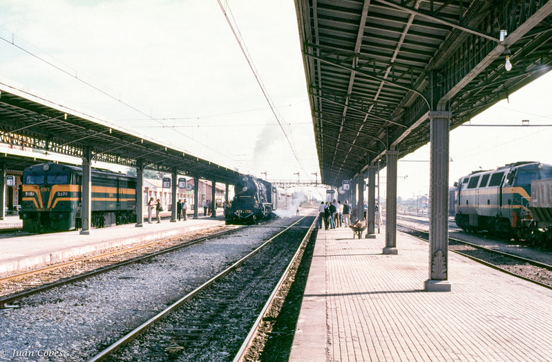 190197.jpg