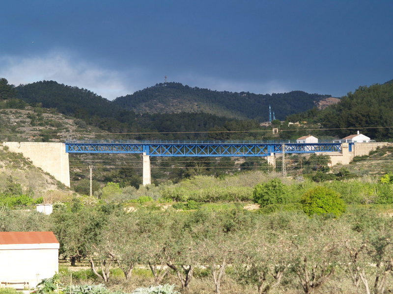 4485.jpg