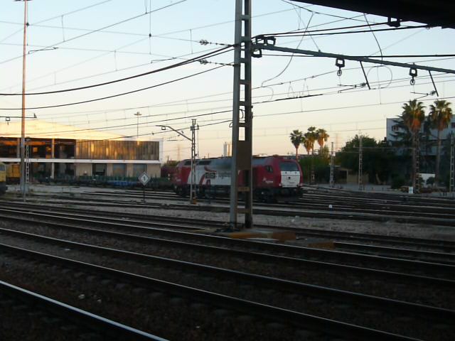 335 logiten en FSL (Valencia).jpg