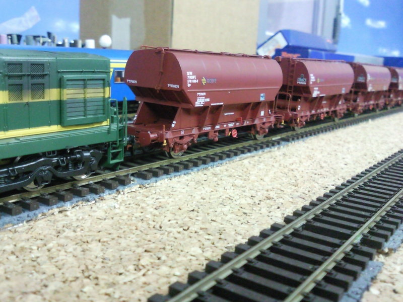 SNC00265.jpg