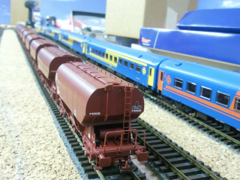 SNC00268.jpg