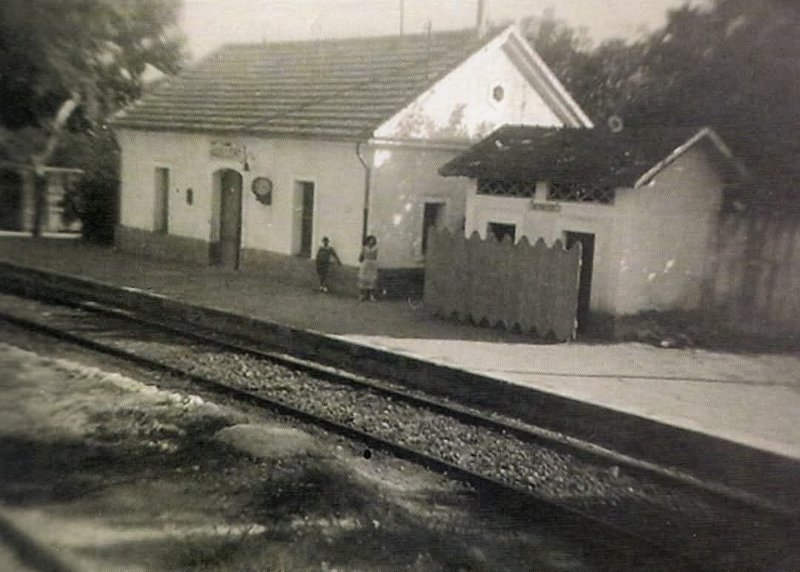 190204.jpg