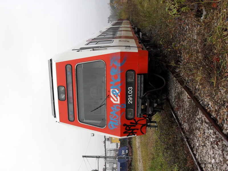 SDC10444.JPG