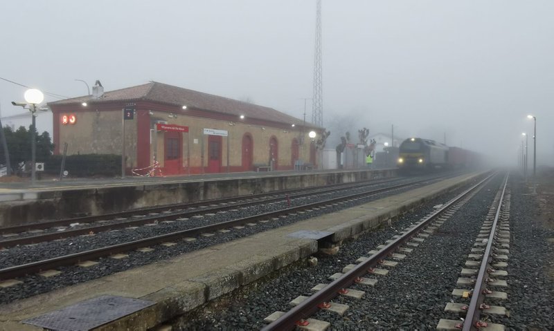 IMG_20250212_082757_188.jpg