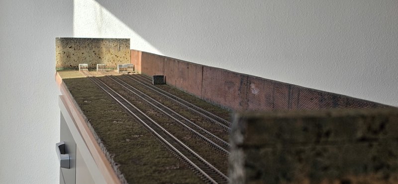 20250211_105809.jpg