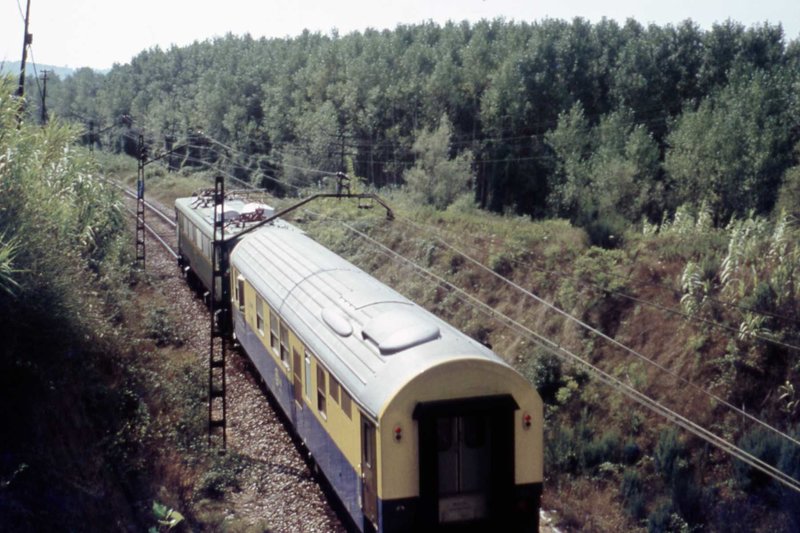 D 13-022.jpg