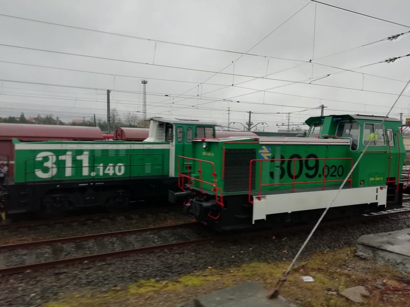 5295.jpg