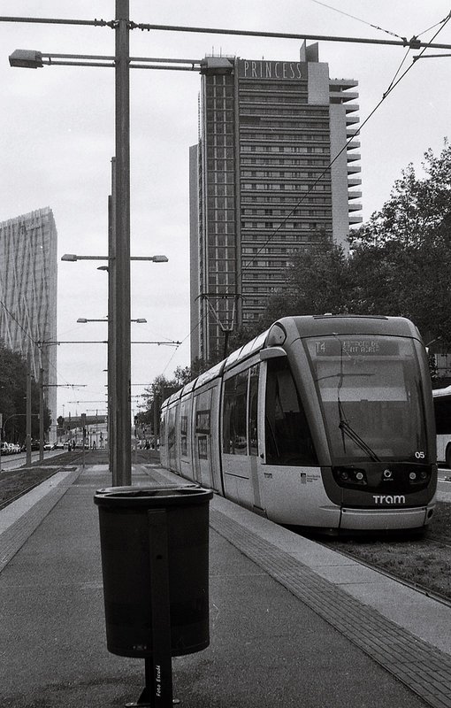 V5537.JPG