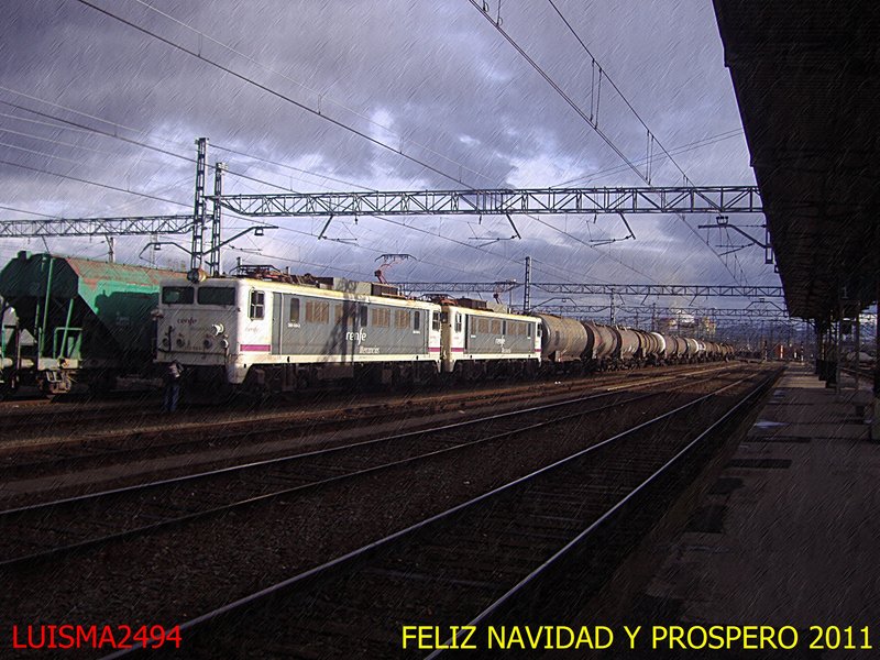 felicitacion.JPG