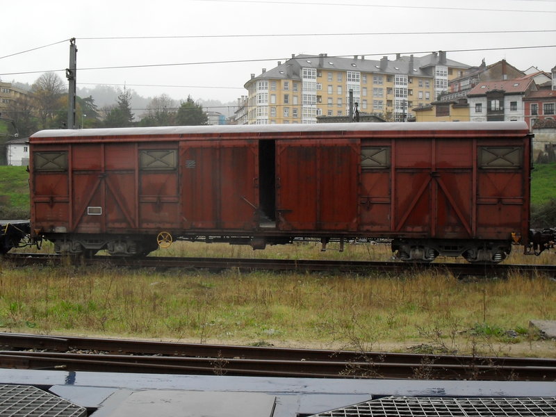 SDC10445.JPG