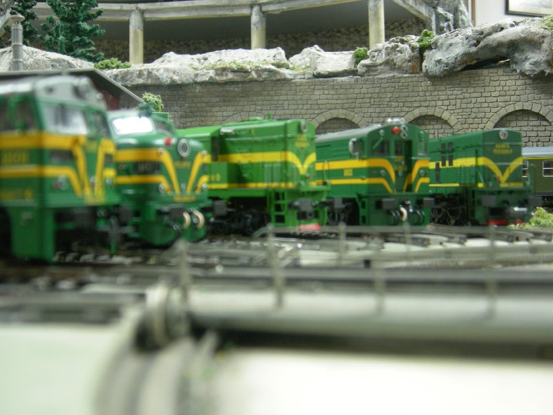 DSCN2349.JPG