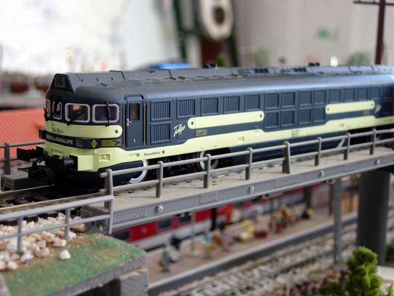 Dscn5479.jpg