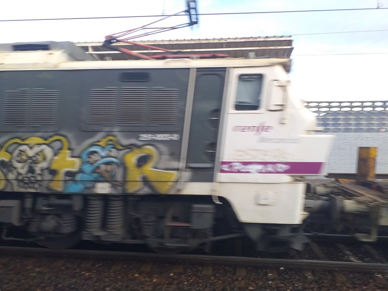 251-003 5.jpg
