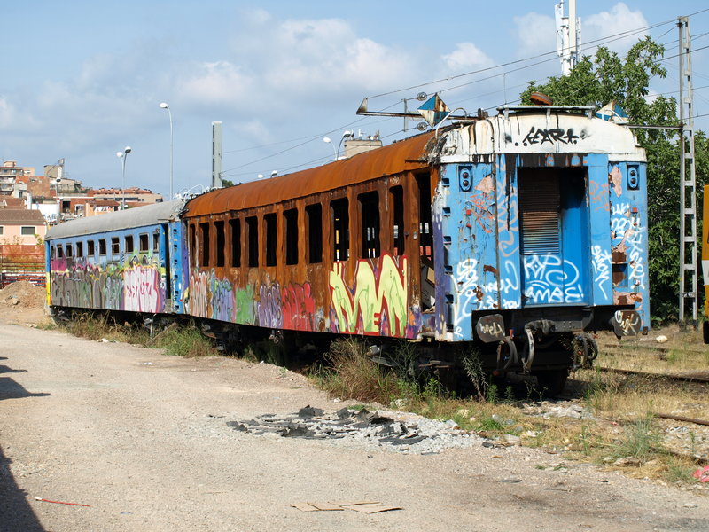 P7163581.JPG