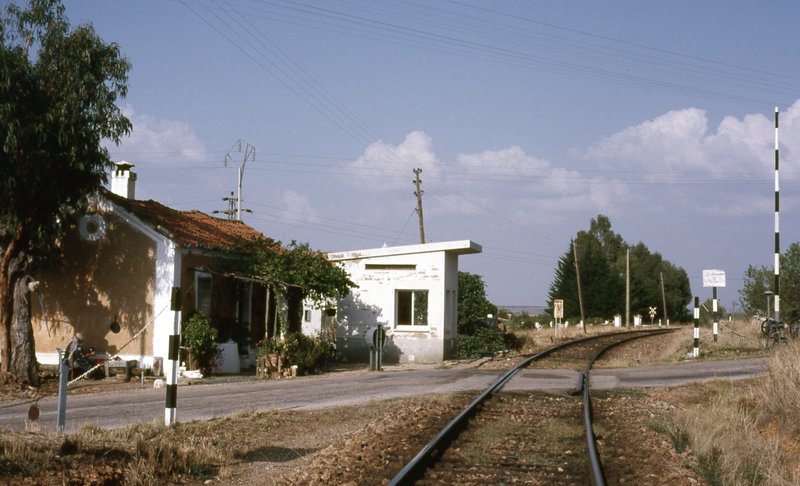 190205.jpg