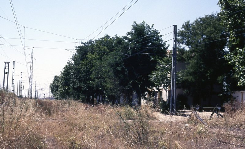campo real parte malaga3.jpg