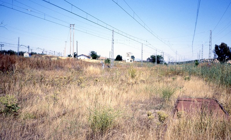 campo real parte malaga4.jpg