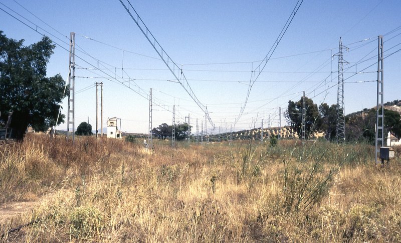 campo real parte malaga5.jpg