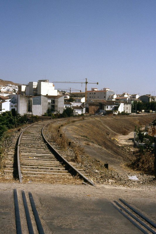 MARTOS 3.jpg
