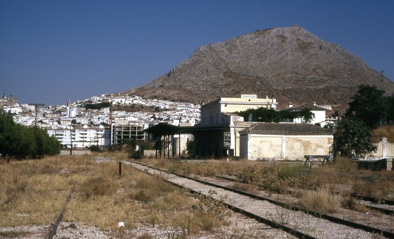 MARTOS2.jpg