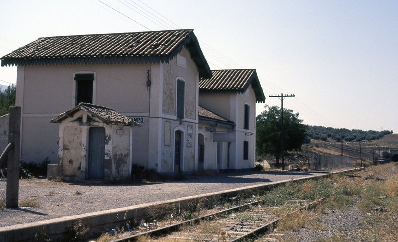 tORREDELCAMPO.jpg