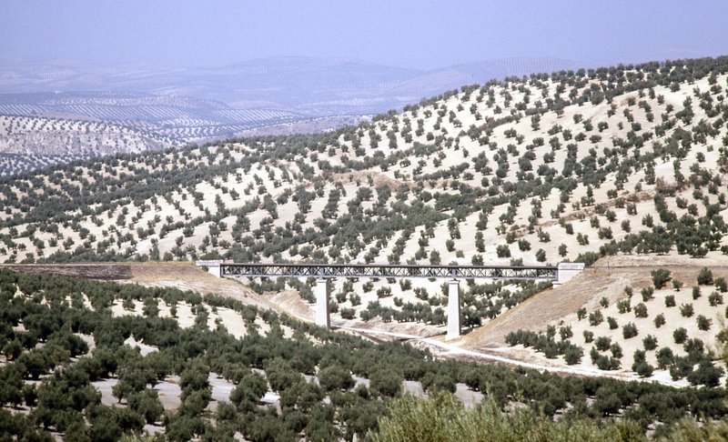 TORREDELCAMPO2.jpg
