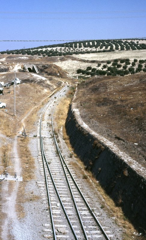 TORREDONJIMENO 2.jpg