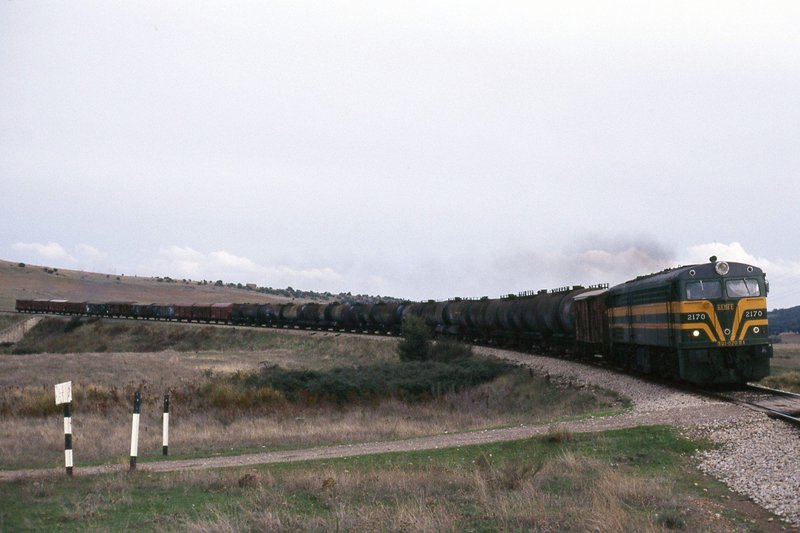 190247.jpg