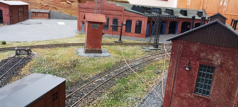 20250412_135406.jpg