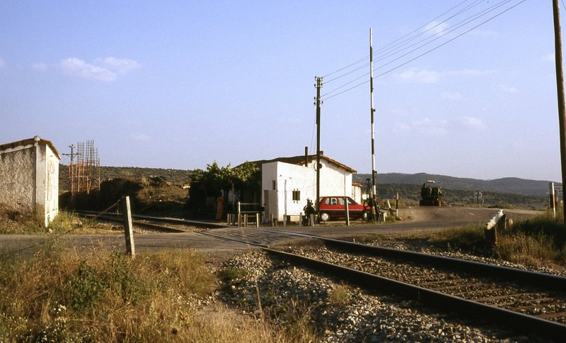190255.jpg