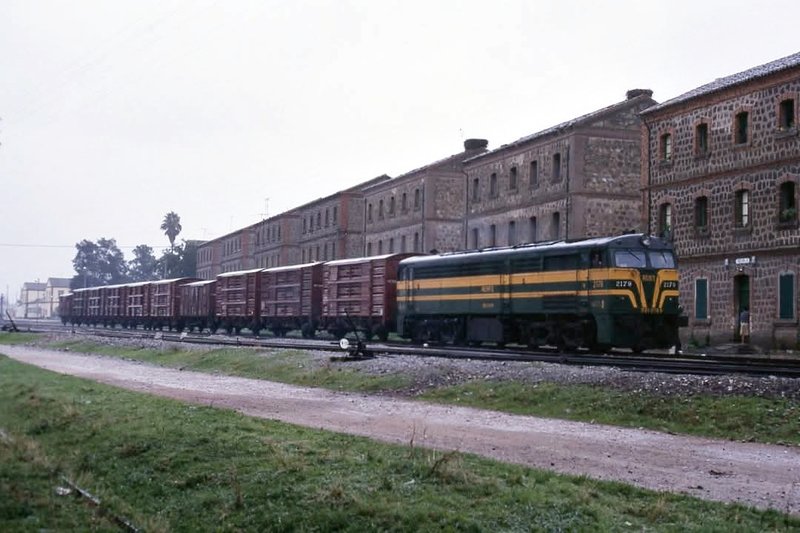 190258.jpg