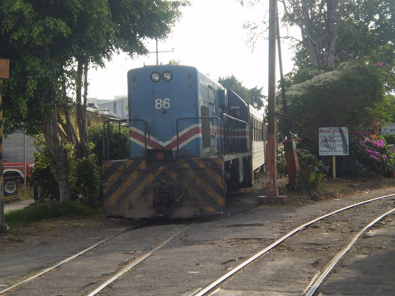 P3261838.JPG