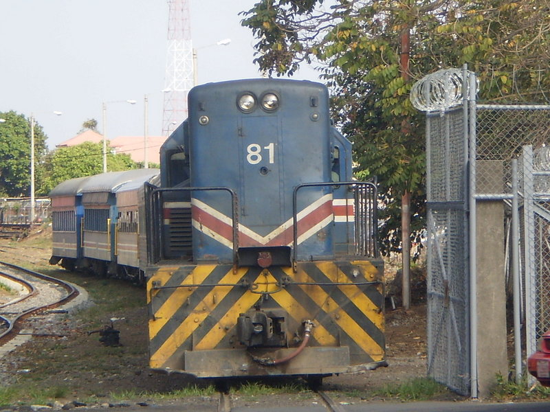 P3261858.JPG