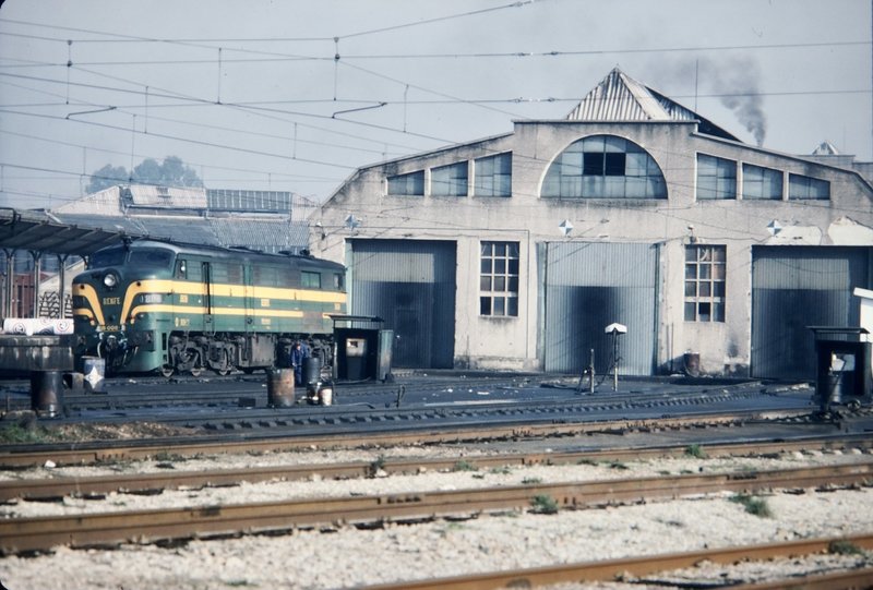 190247.jpg