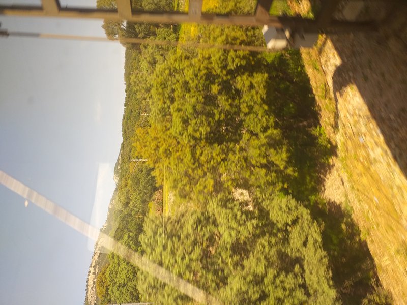 Estrelladero 11.jpg