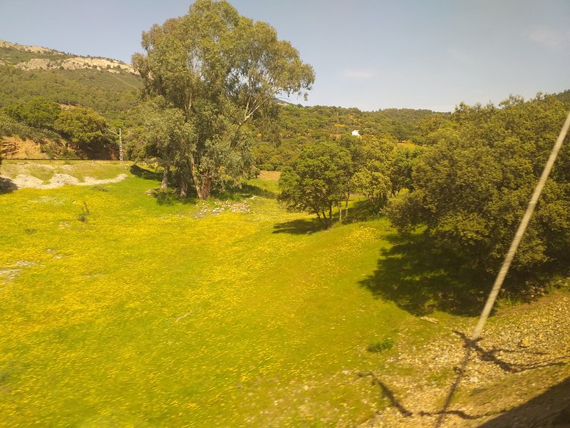 Estrelladero 9.jpg