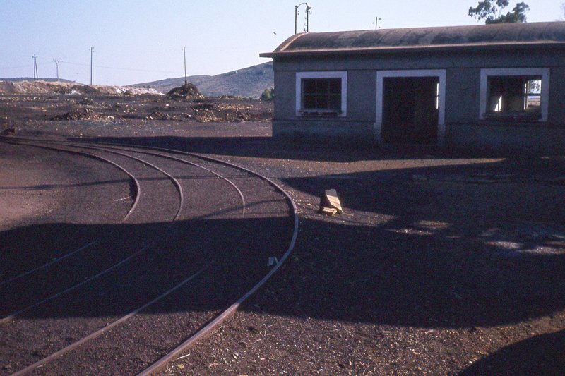 190303.jpg
