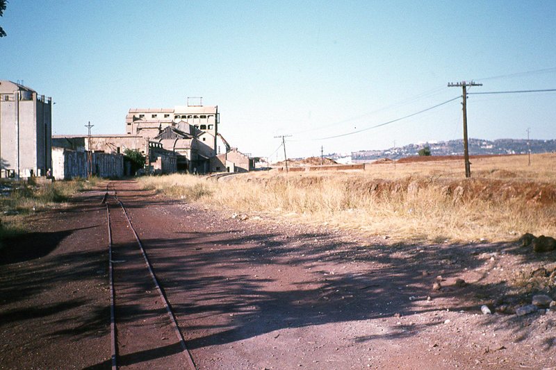 190304.jpg
