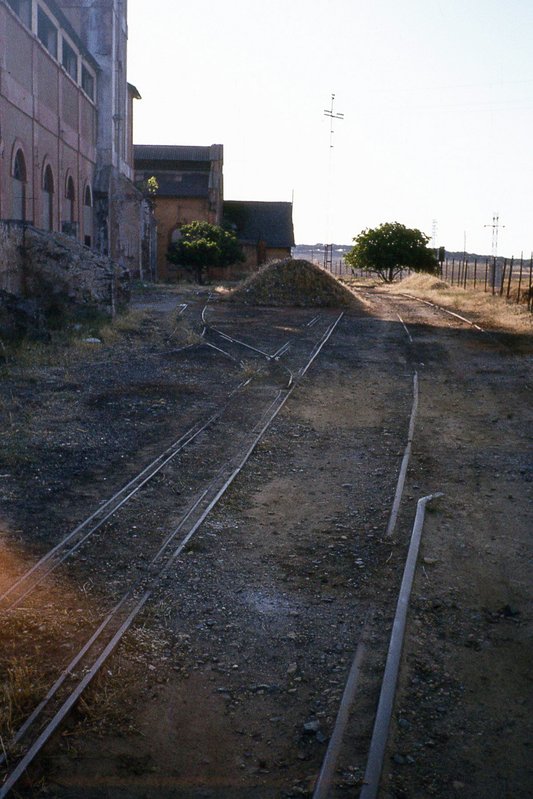 190301.jpg