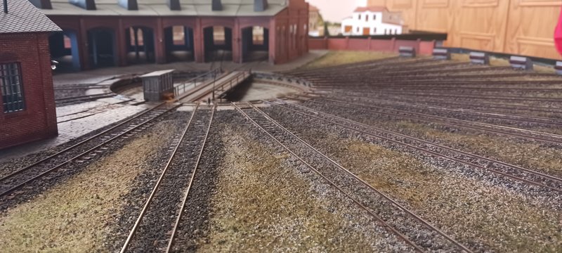 20250511_132246.jpg