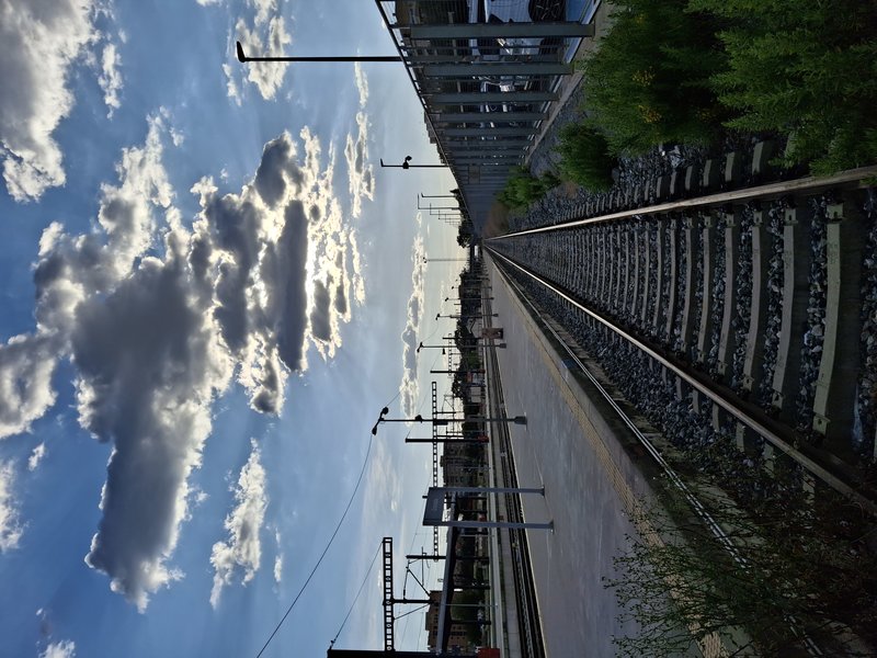 20250516_194242.jpg