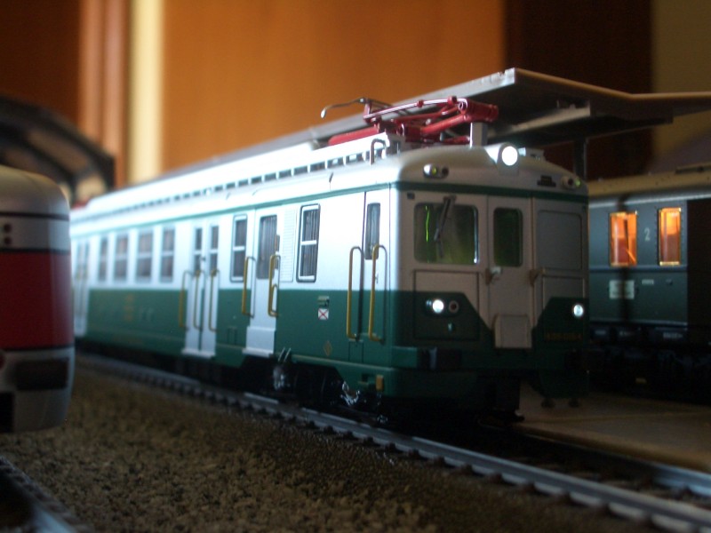 CIMG0878.JPG