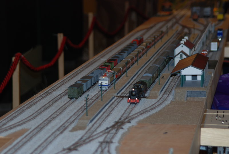 DSC_0081.JPG