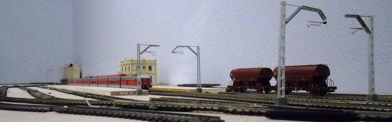 CIMG7590.JPG