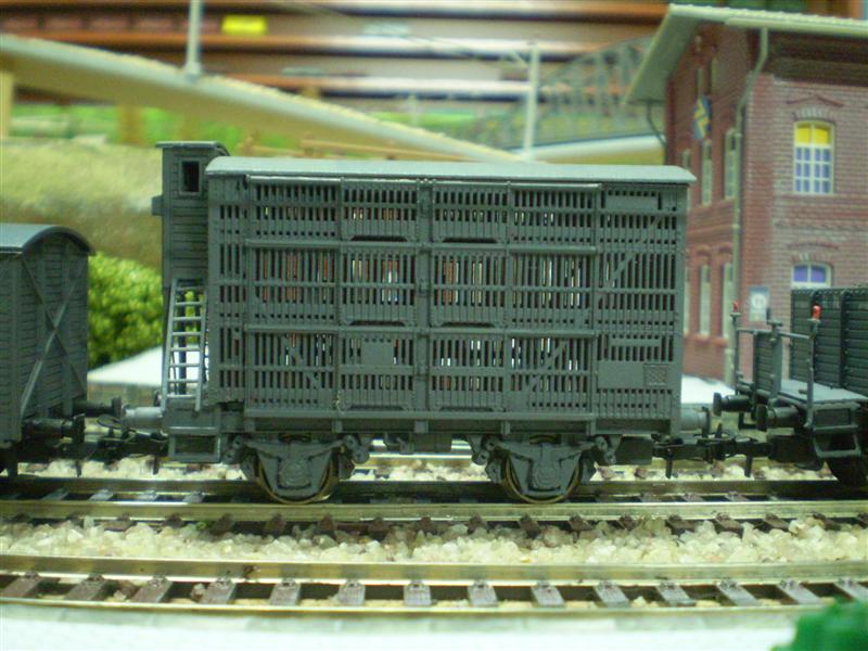 P1010105 (Medium).JPG