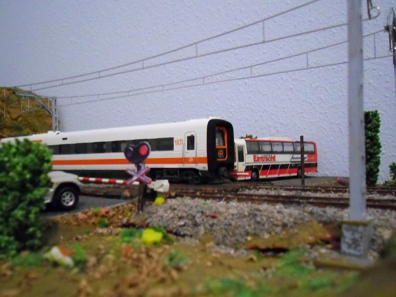 CIMG7619.JPG